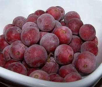 Pic Courtesy: whatscookingamerica.net