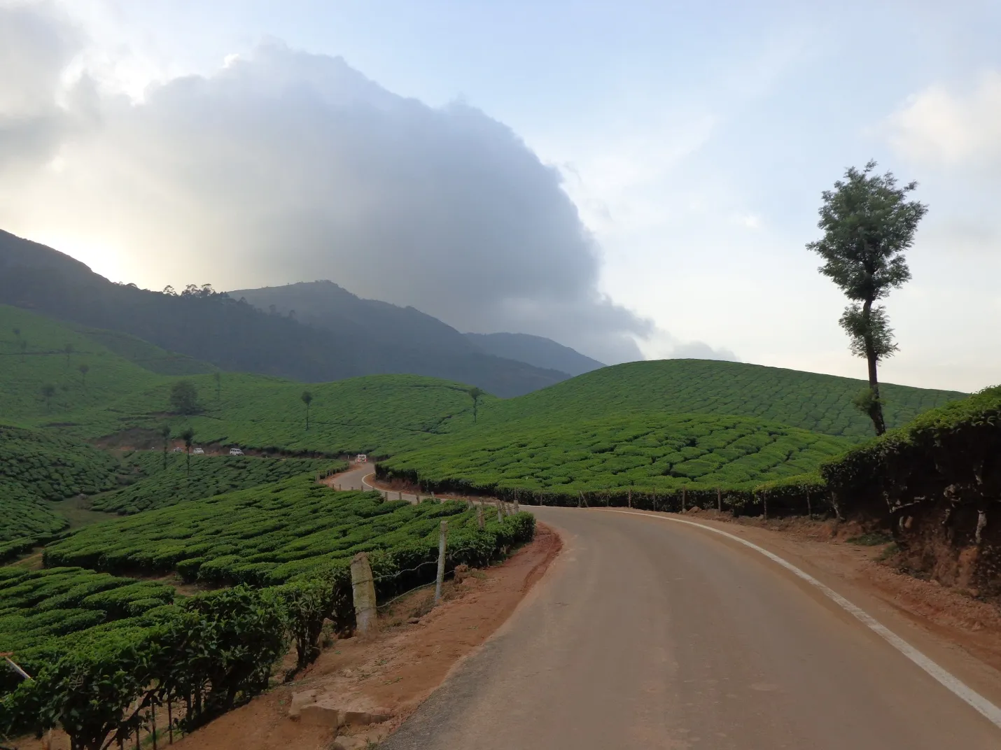 munnar1