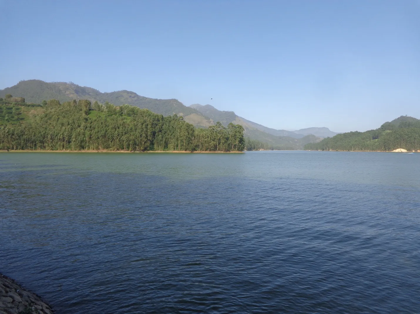 munnar2