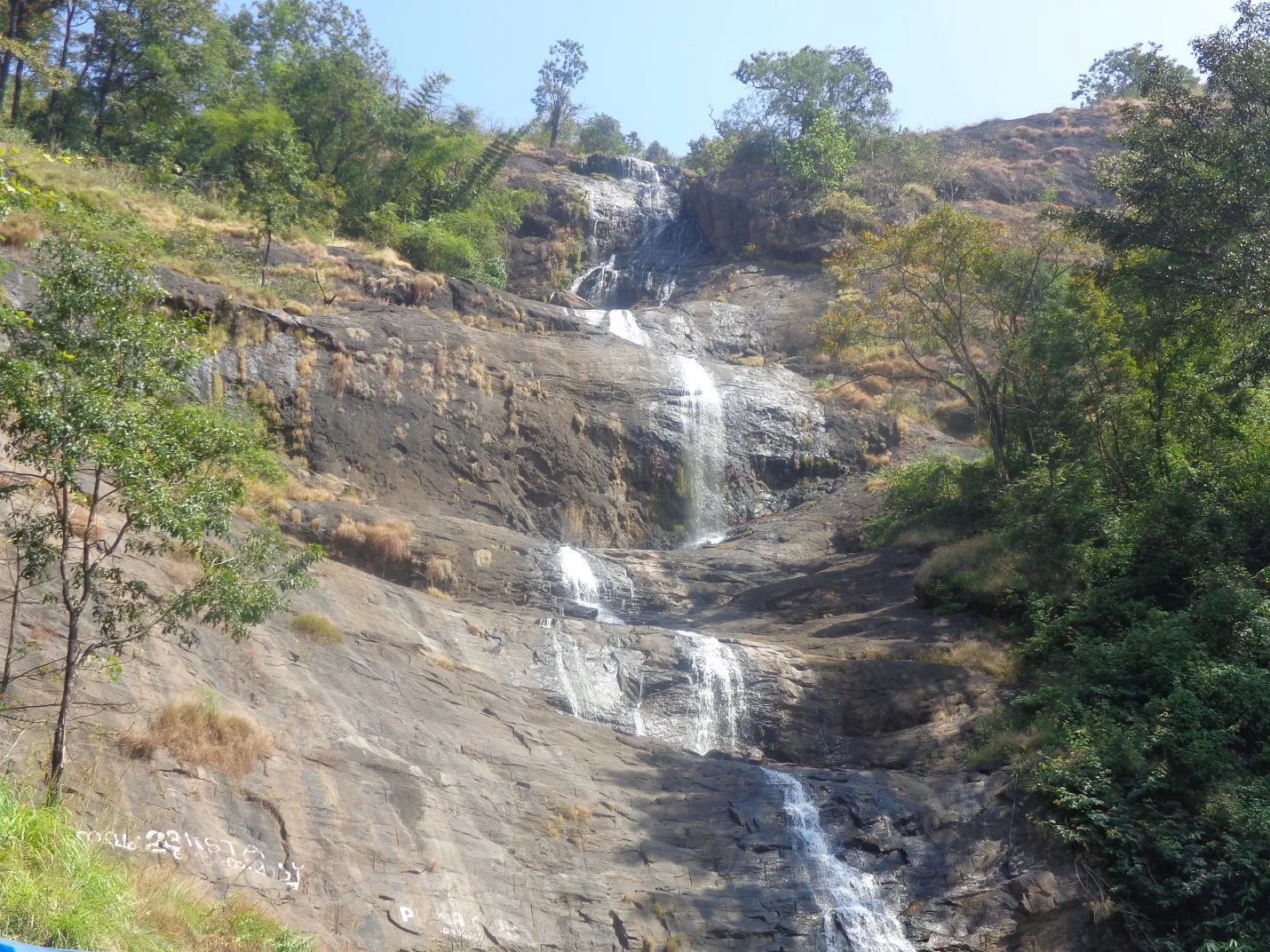munnar6