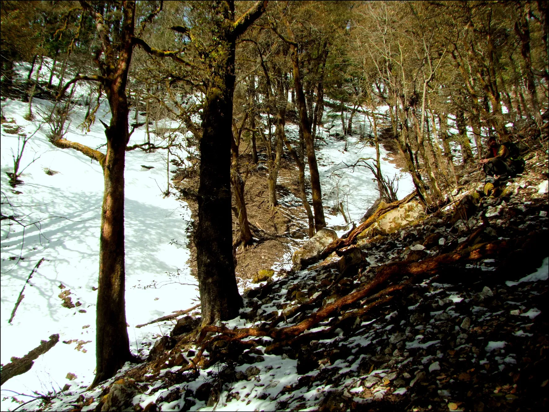 Going higher in search of snow 