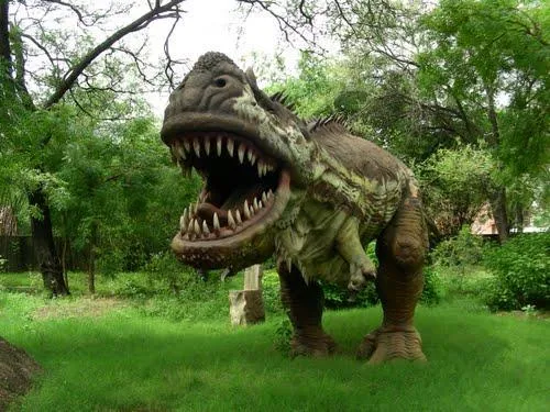indroda_nature_park_gandhinagar