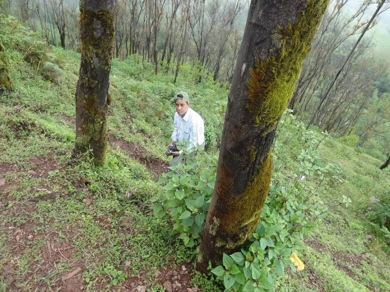 JM Garg, efloraofindia