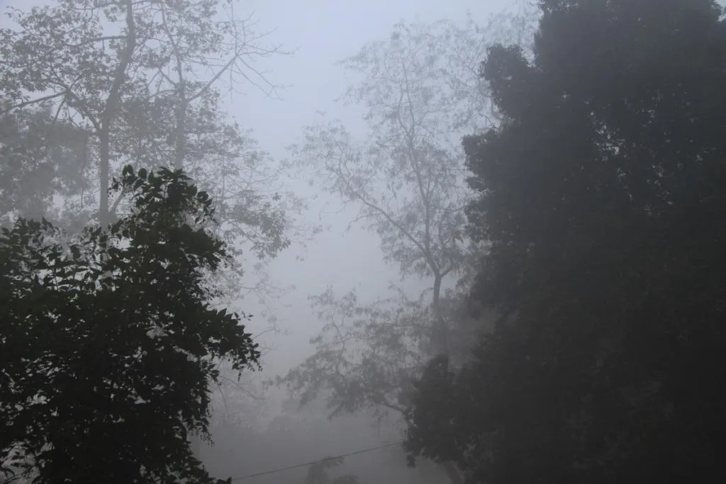 orang national park, assam