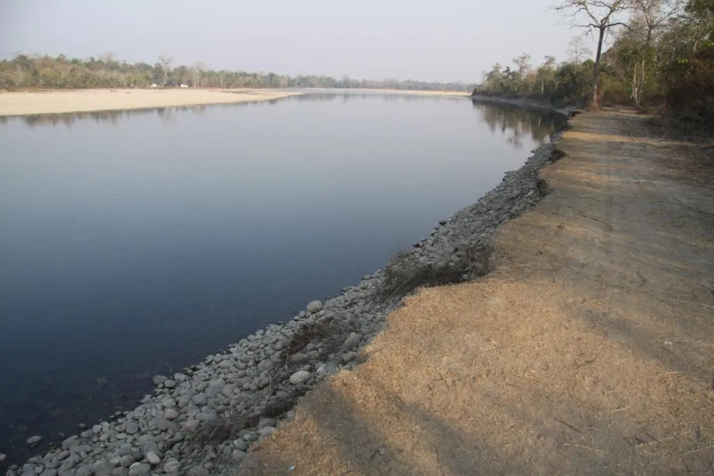 Bhoroli river at Nameri.
