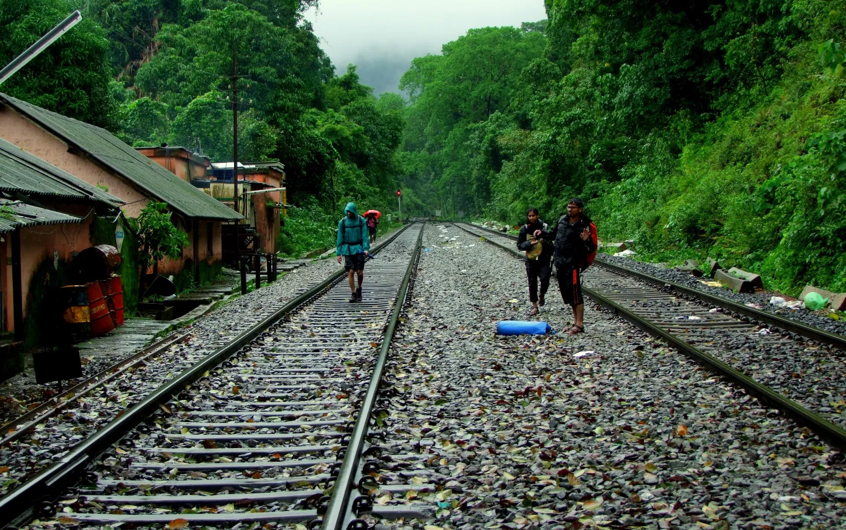 Monsoon magic along the track