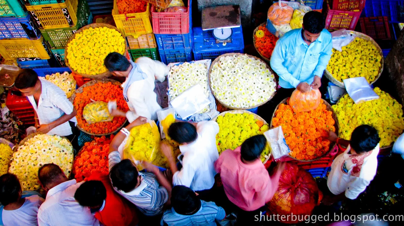 flower market