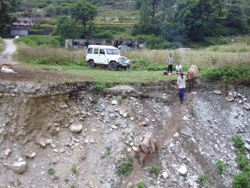 donkeys in Netala