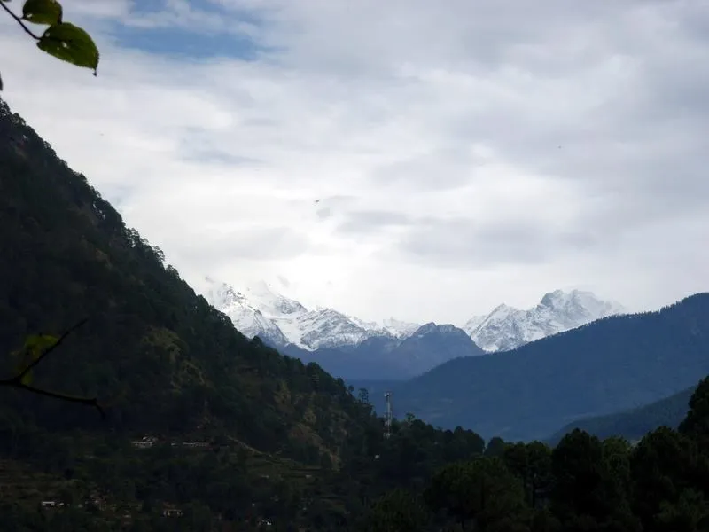 snow capped peaks, netala