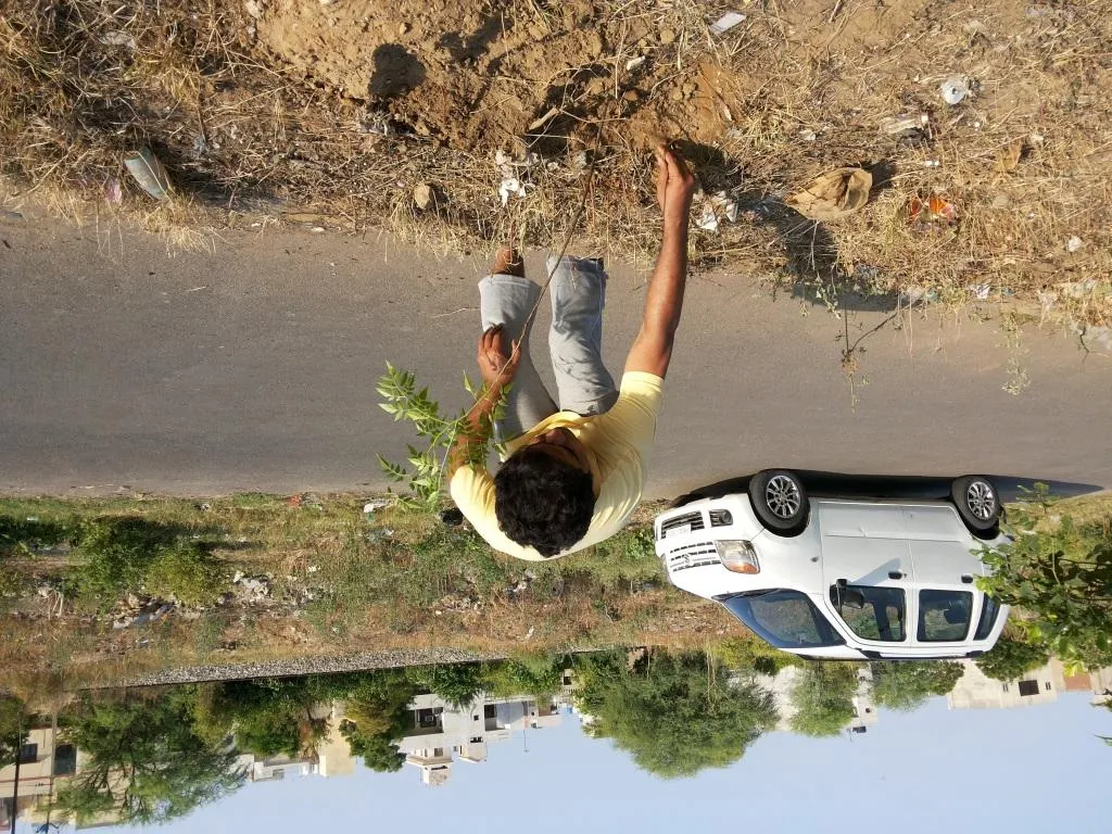 The citizens managed to plant 1,50,000 trees within an hour.