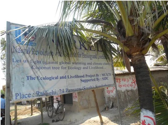 I saw hundreds of Coconut trees planted by MUKTI under the NARKEL project.