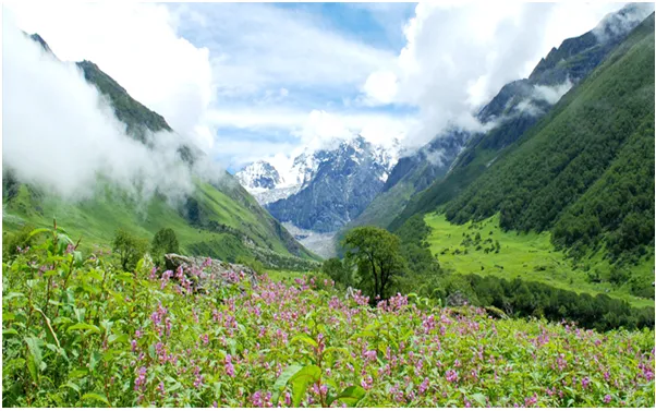 trekking8