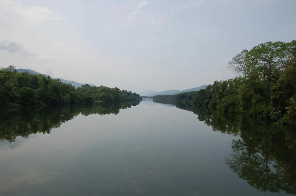 The tranquil Periyar at the edge of Thattekkad.