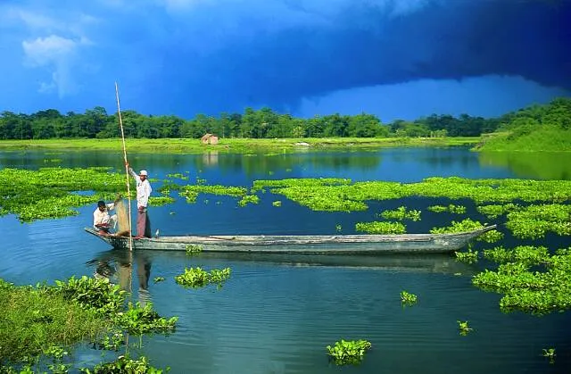 majuli