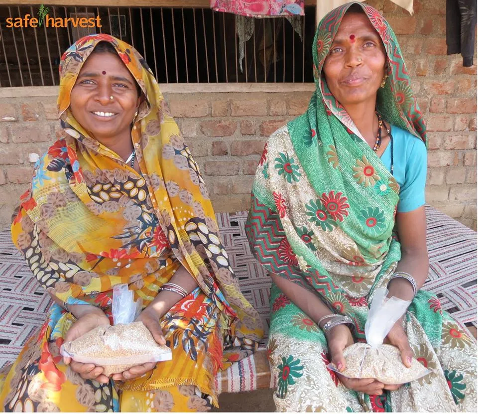 Jamna Bai (left) and Sukma Bai from Postipura Madhya Pradesh, hand over samples of their wheat harvest for #NPMi compliance. NPMi (Non Pesticide Management initiative) tests for traces of 98 pesticides.