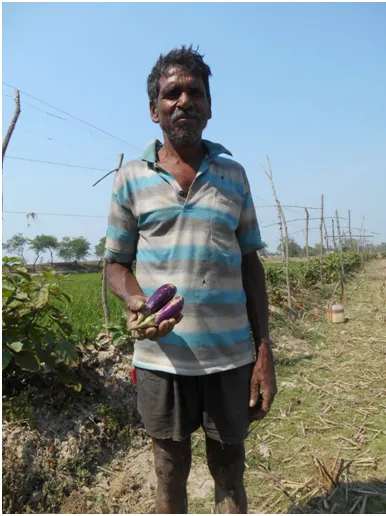 Mr Biswanath Mondal has started following organic farming.