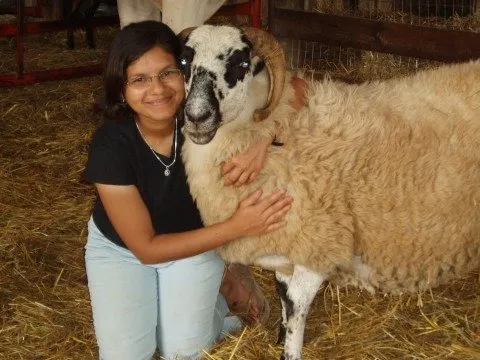 The animals which were once scared and wild are now her best friends.
