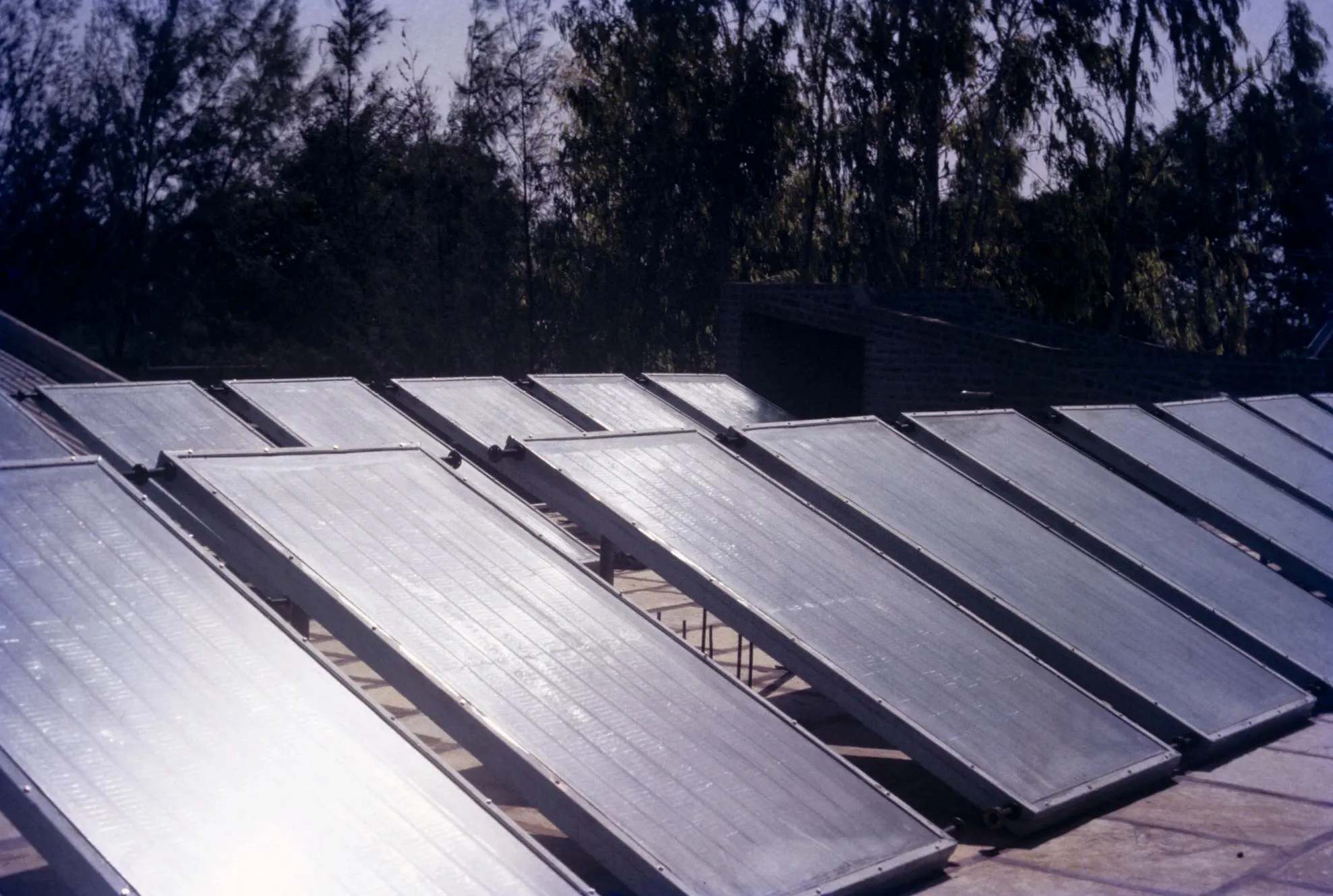 Solar run plant.