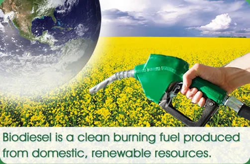 biodiesel