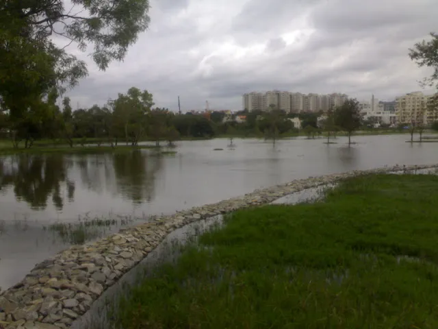 It took a few years to get the lake rejuvenated. 