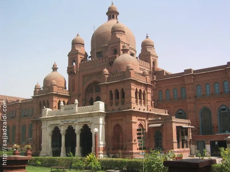mayocollege