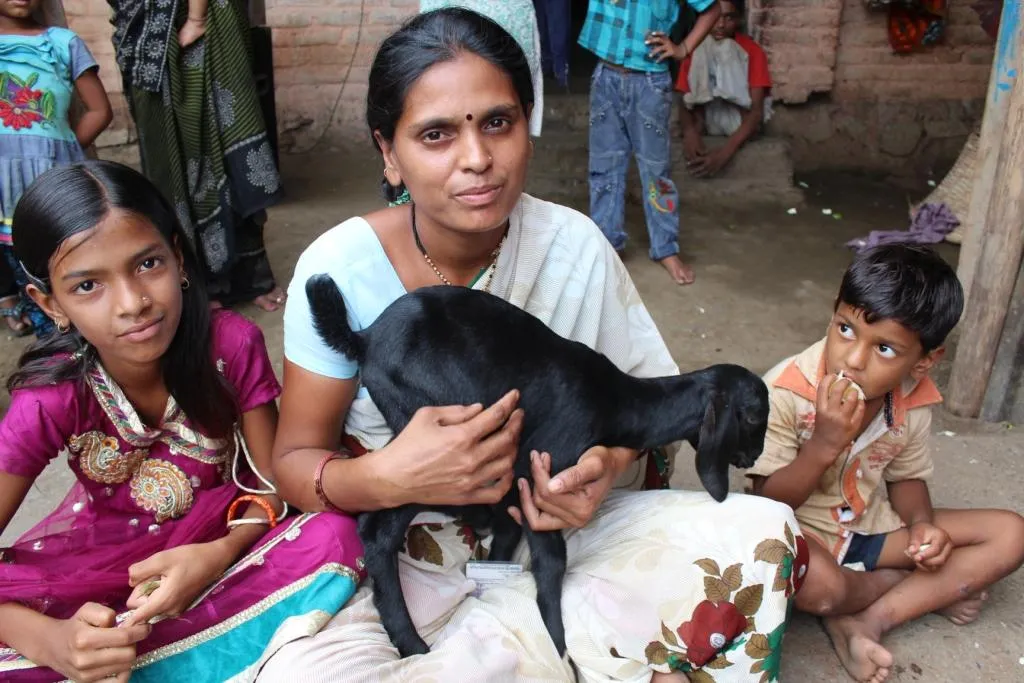 A Rang De borrower in Pusad, Maharashtra engaged in goat rearing