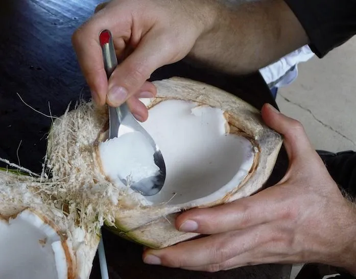 young-coconut
