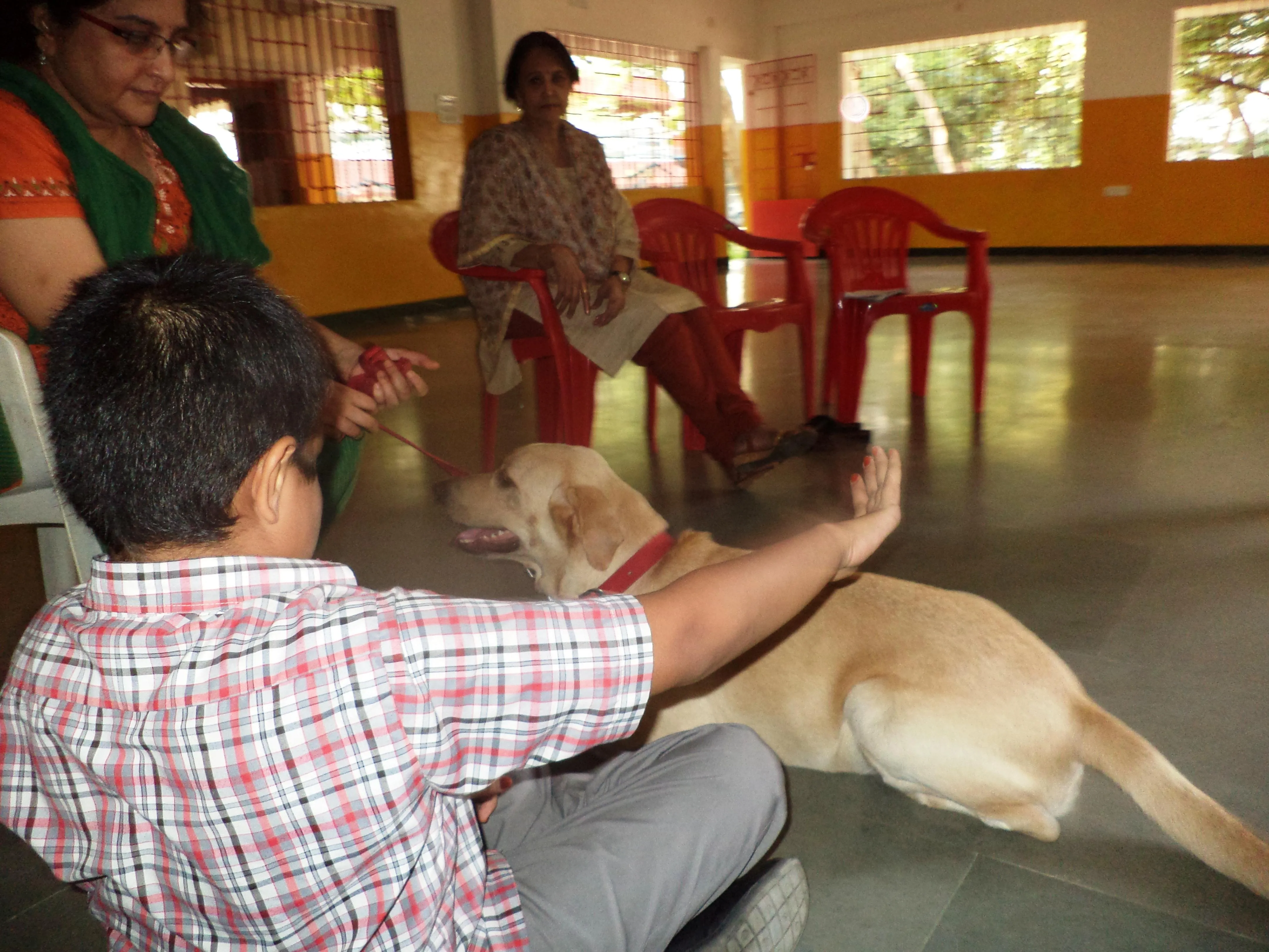 The treatment of Dr Ruffles, an affectionate dog and resident ‘doctor’ at a hospital in Chennai, has helped several children with special needs to overcome their learning disabilities and resolve complex behavioural issues. 