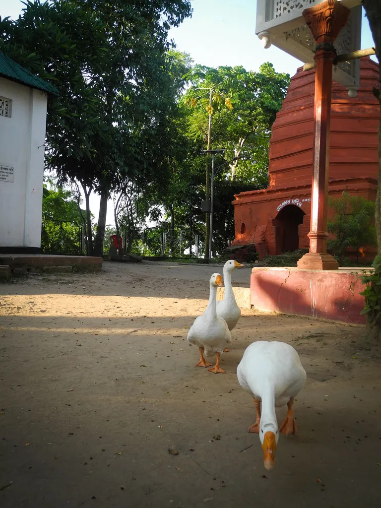 The Shiva temple was built by Ahom king Gadadhar Singha in 1694 A.D but suffered massive devastation in the 1897 earthquake. It was rebuilt later by a local merchant who also chose to inscribe Vaishnavite slogans in some parts. It is believed that pilgrims used to first come to the Umananda temple before offering prayers at the famous Kamakhya Temple.