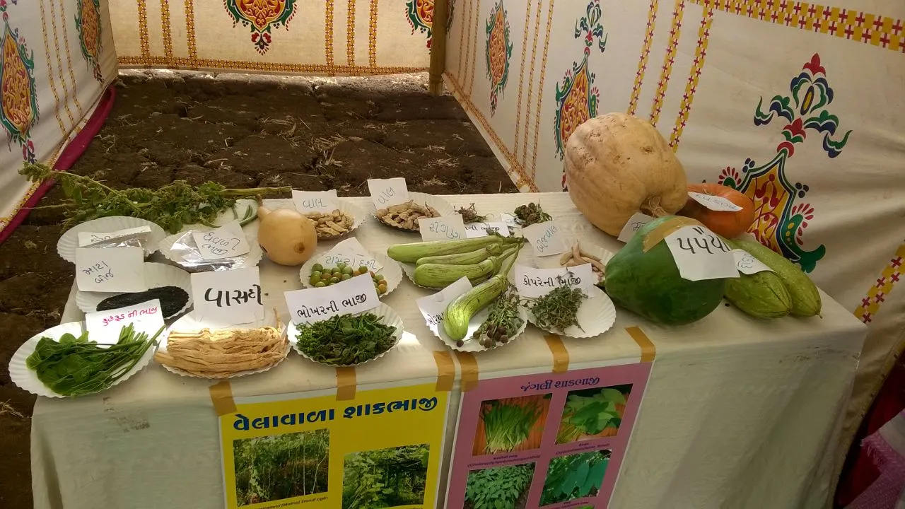 Nahari serve authentic tribal food.