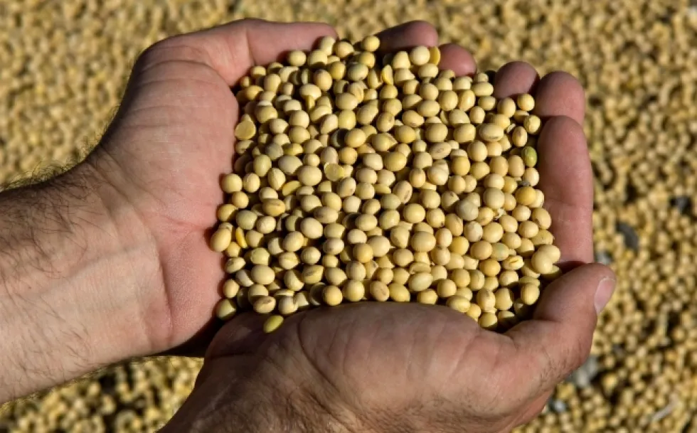 Soya Samridhi was started by SRIJAN to reach out to marginalized farmers.