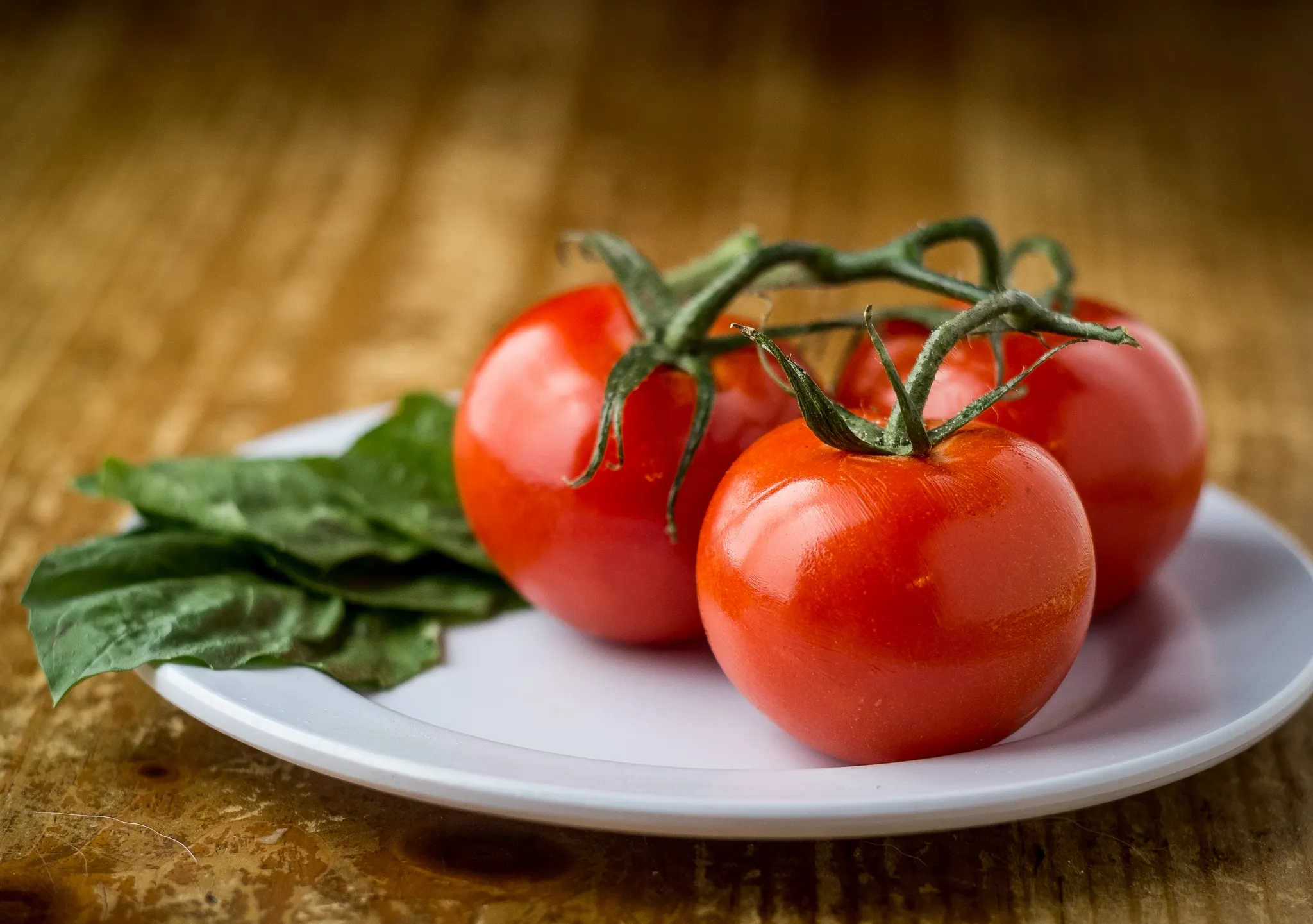 tomato