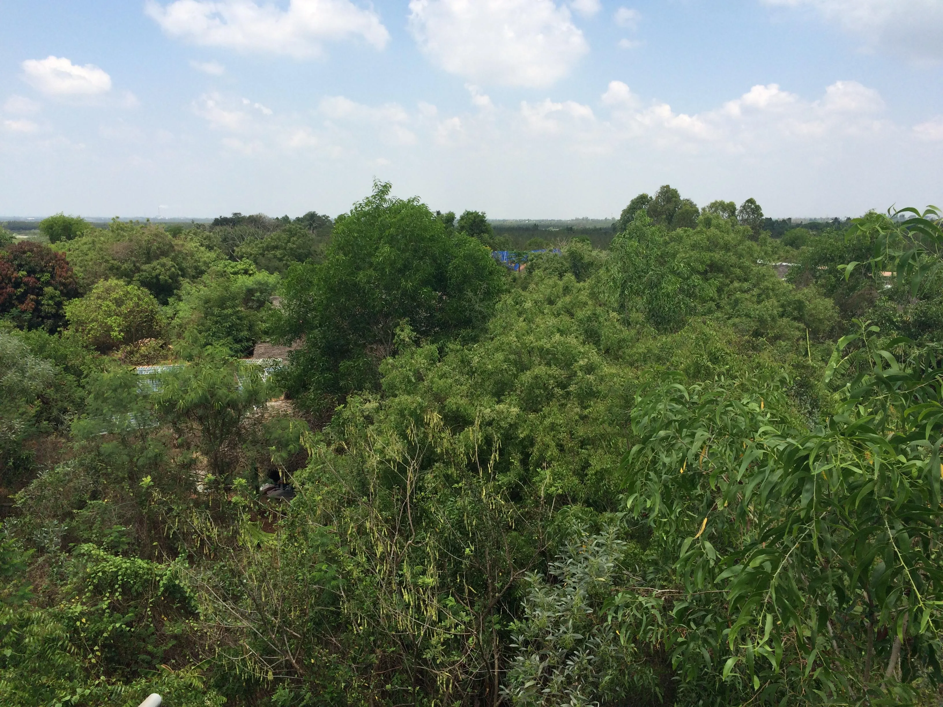 The volunteers from various backgrounds have completely transformed the land
