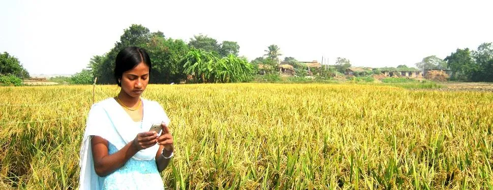 farms and farmers