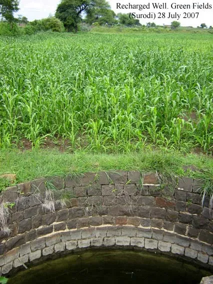 Recharged wells help produce full crop in Surodi village 