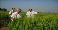 The idea is not to push farmers and only provide them information they require.