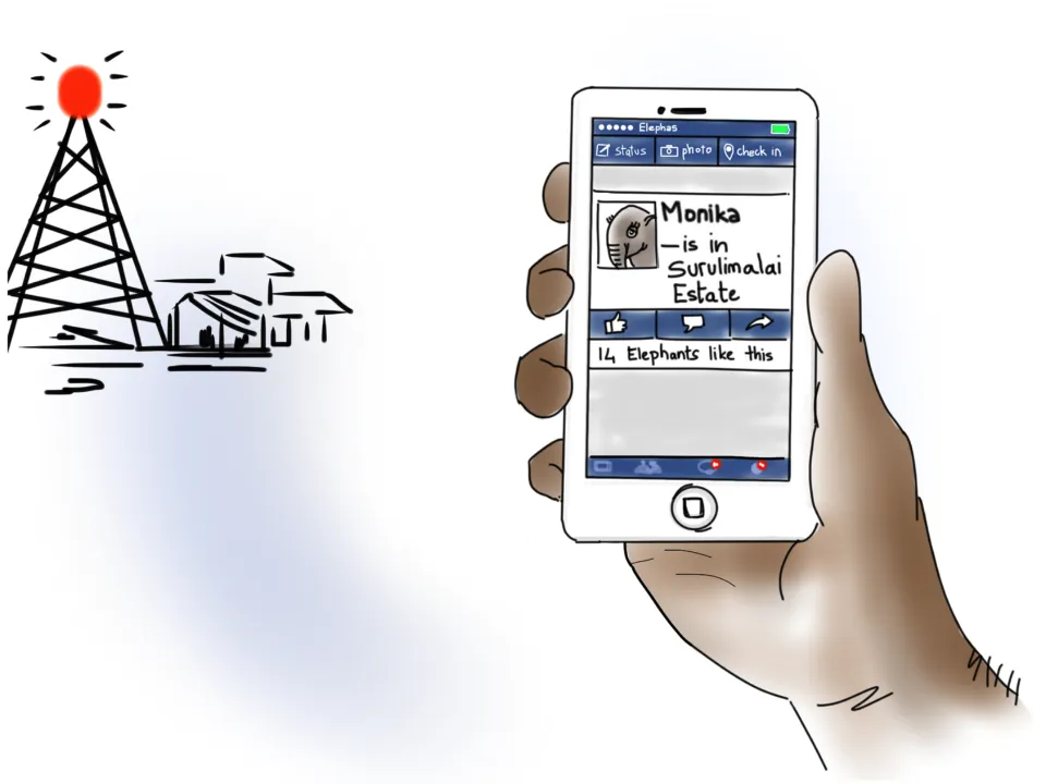 To deal with frequent encounters of people and elephants, conservation scientists in Valparai devised an innovative solution. They installed warning lights on big buildings and set up an SMS service system. Local people register their mobile phone numbers, and, send and receive SMS alerts about elephant locations! How cool is that! This could reduce the accidental encounters between people and elephants, therefore lesser conflict, therefore easier life for both people and elephants!