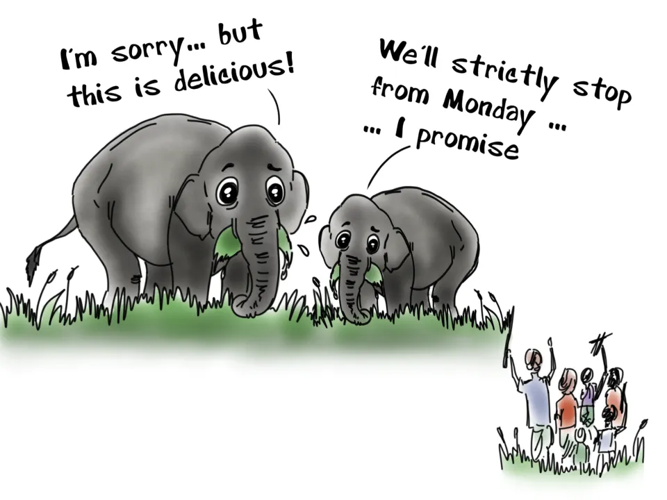 And certainly, when big animals such as elephants run into farms, find delicious crops, they eat. And even if they aren’t eating, but just crossing through a farmland, they end up damaging a large chunk of the crops. This is what we call conflict.