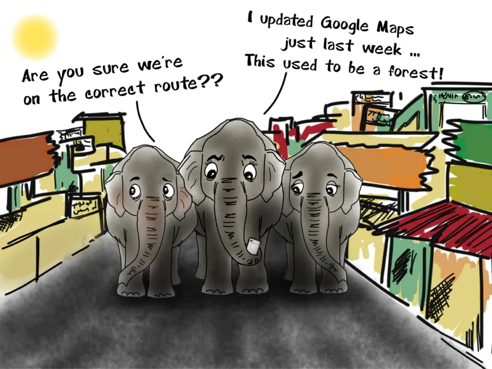 Although we are at heavy losses because of conflict with elephants, we haven’t been particularly good neighbors either. Elephants travel large distances, migrating seasonally. Most of their historic migratory routes are now replaced by our roads, towns and cities.