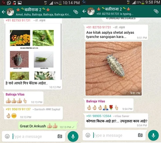 baliraja9