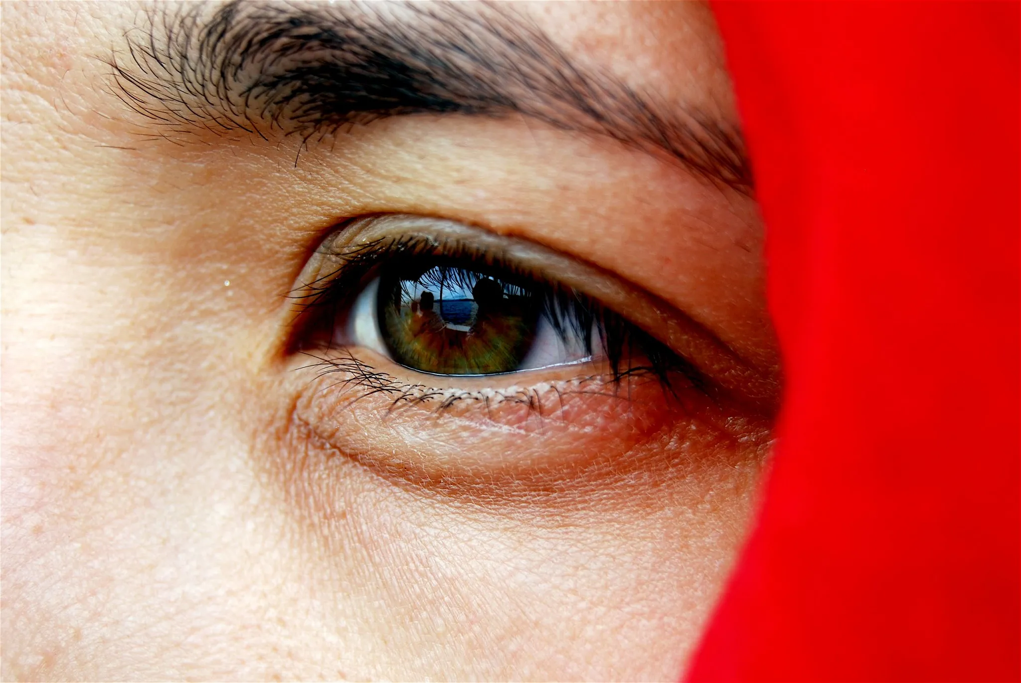 eye donation