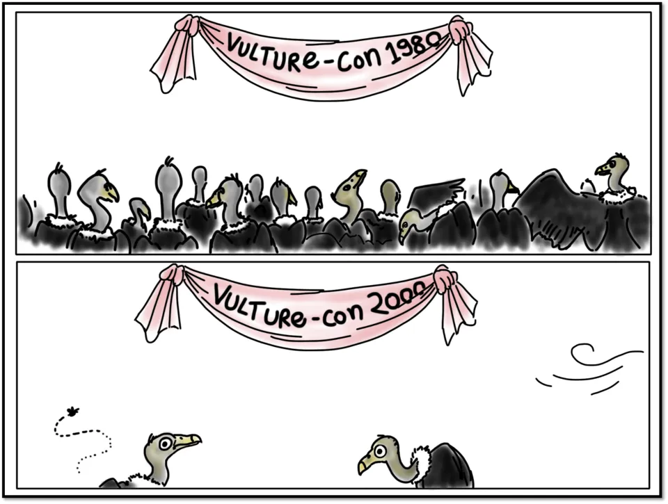 In the 1990’s, biologists began to notice that there were much fewer vultures around, as compared to the 1980’s. This was a bit worrying.