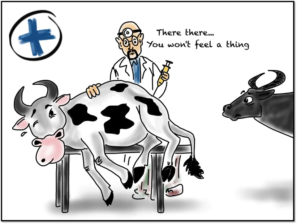 Diclofenac is a drug that is given to cows and buffalos to treat fever, wounds and diseases. The dead cows with Diclofenac inside them were eaten by vultures, and they in-turn got Diclofenac into themselves. Tragic! Who would have thought, right?