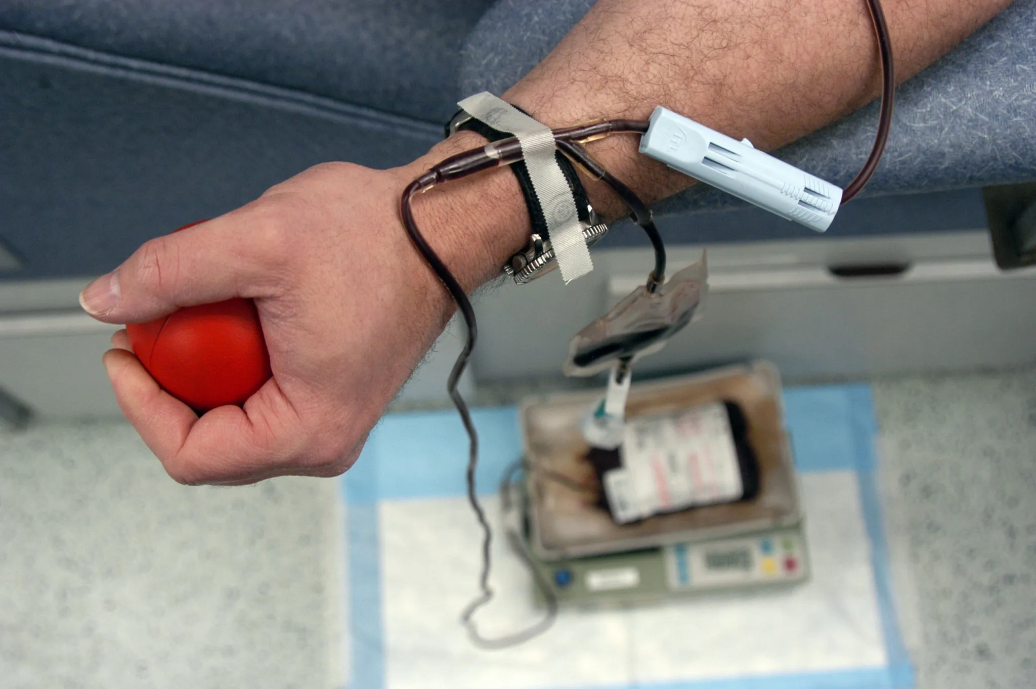 blood donatin