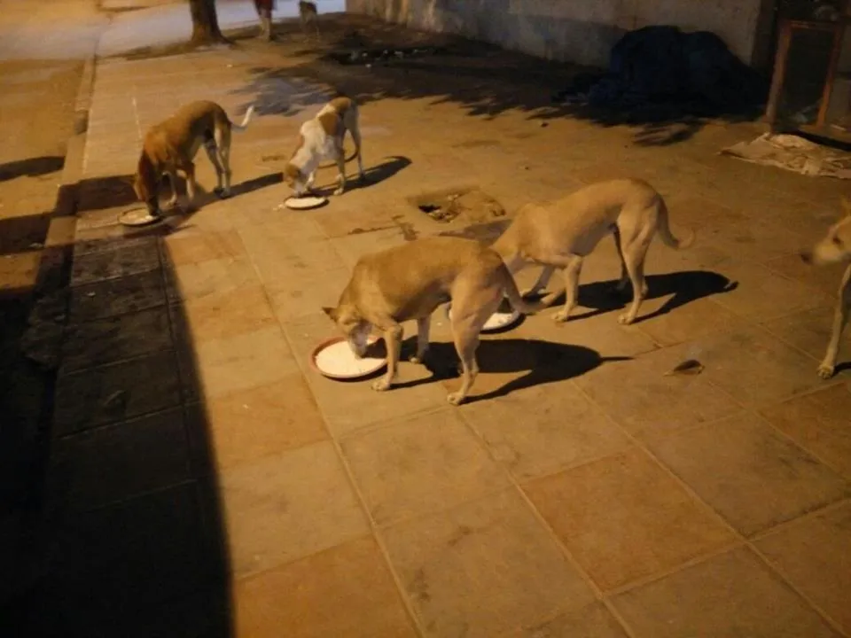 Dinner time. Do not disturb 