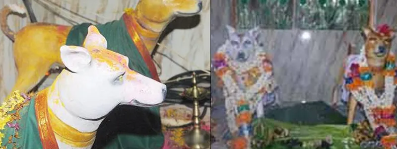 Dog-Temple-of-India