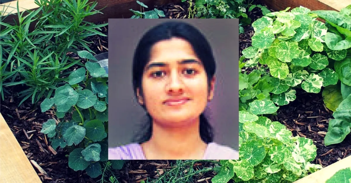 anupama