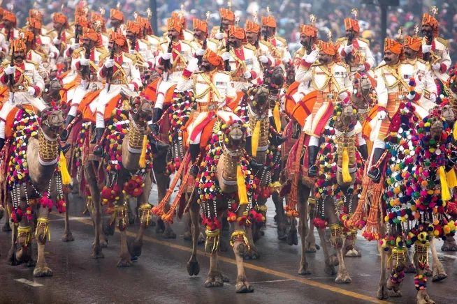 camel1