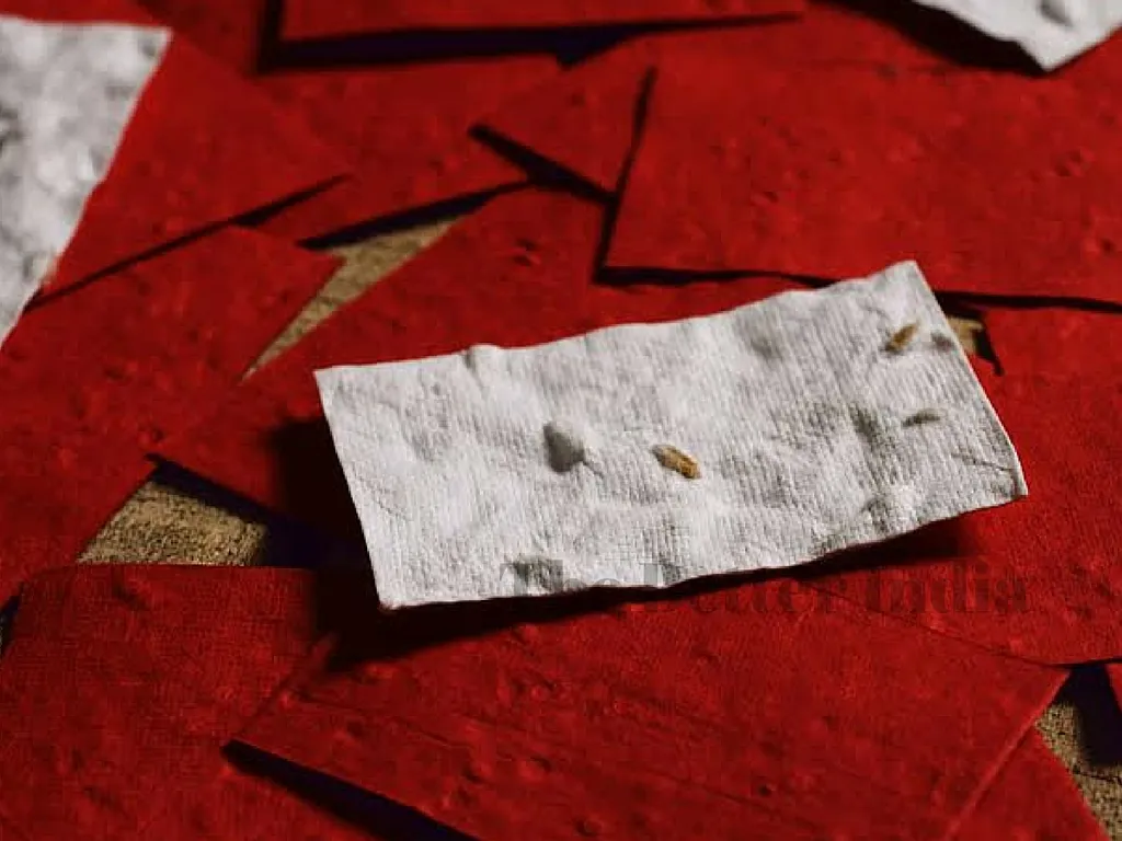 Kritika is now receiving many orders for this special paper.