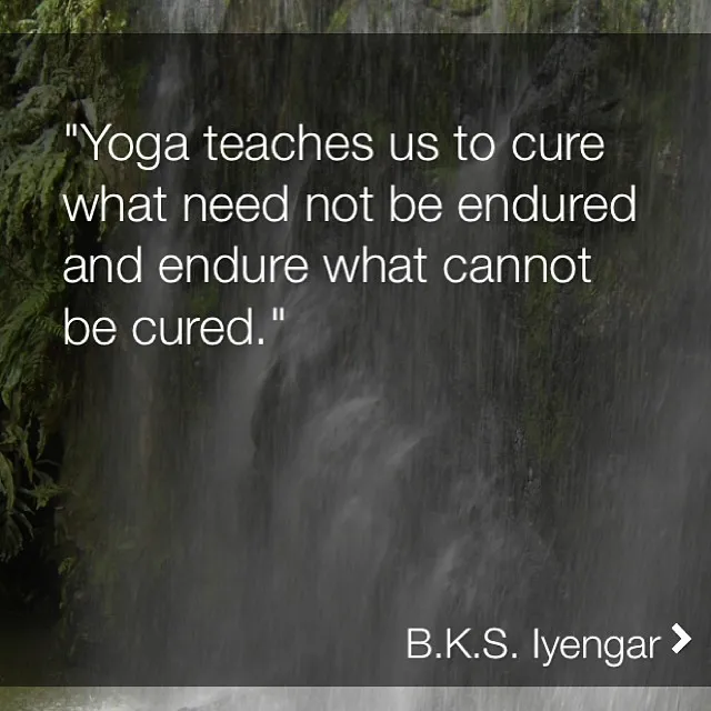 Iyengar4